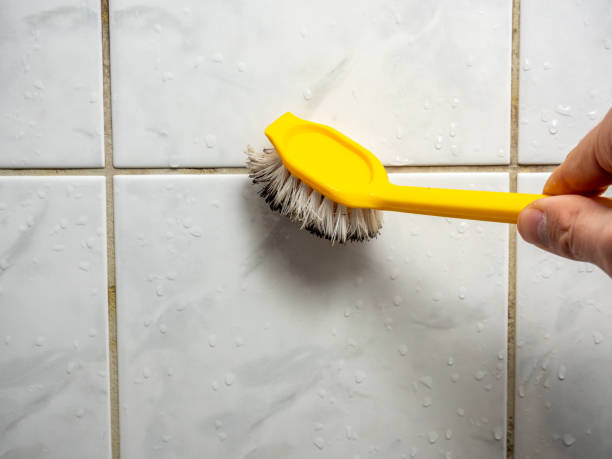 Best Mold Removal and Inspection  in Aloha, OR
